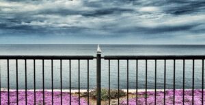 Riflessione sul silenzio nello sguardo in fotografia come condizione percettiva e spazio di osservazione nel paesaggio.